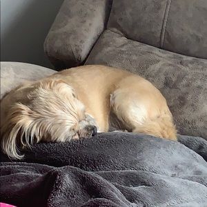 Meet your Posher, Katelyn